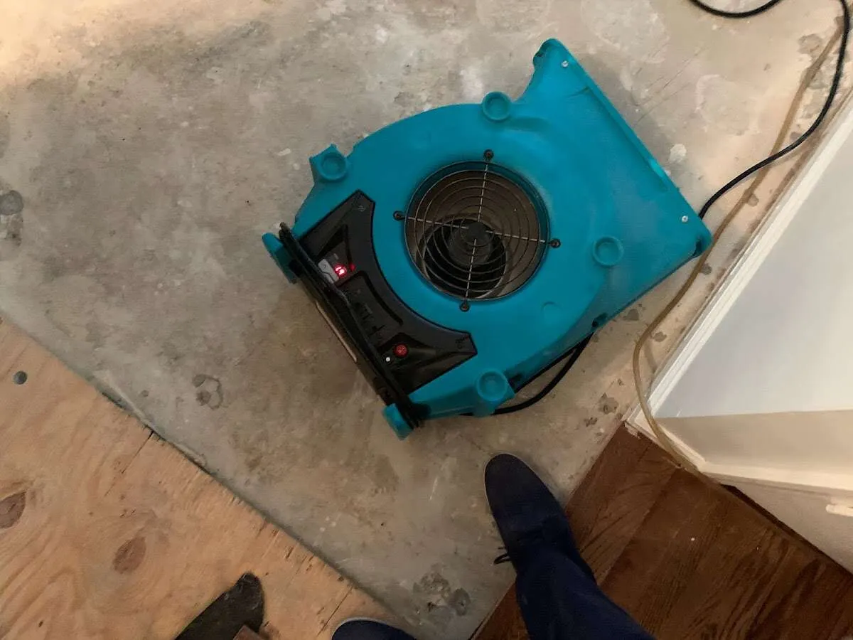 Air mover drying subfloor during Leak Detection & Repair in Glenwood